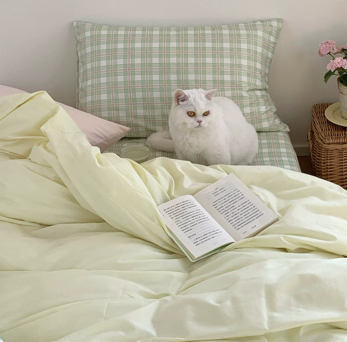 Vireza Green Plaid Pure Cotton Bedding Set G86
